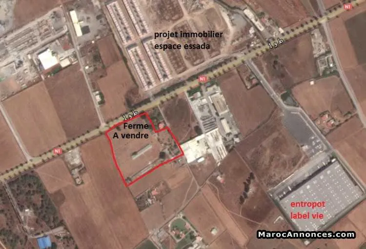Terain a vendre  de 2.4 hectare skhirat - الرباط