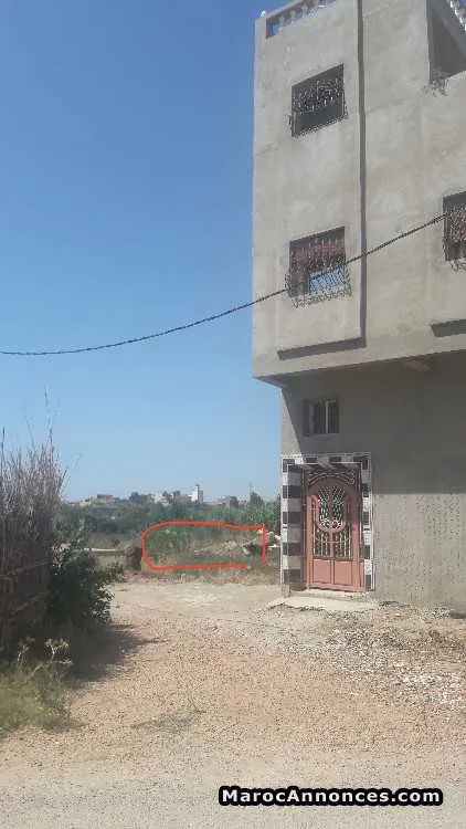 Terrain 120m gouaret tanger - طنجة