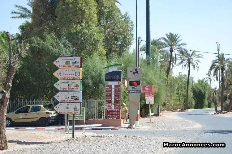 Terrain  palmeraie - مراكش (2)