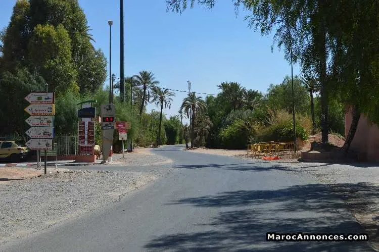 Terrain  palmeraie - مراكش (3)