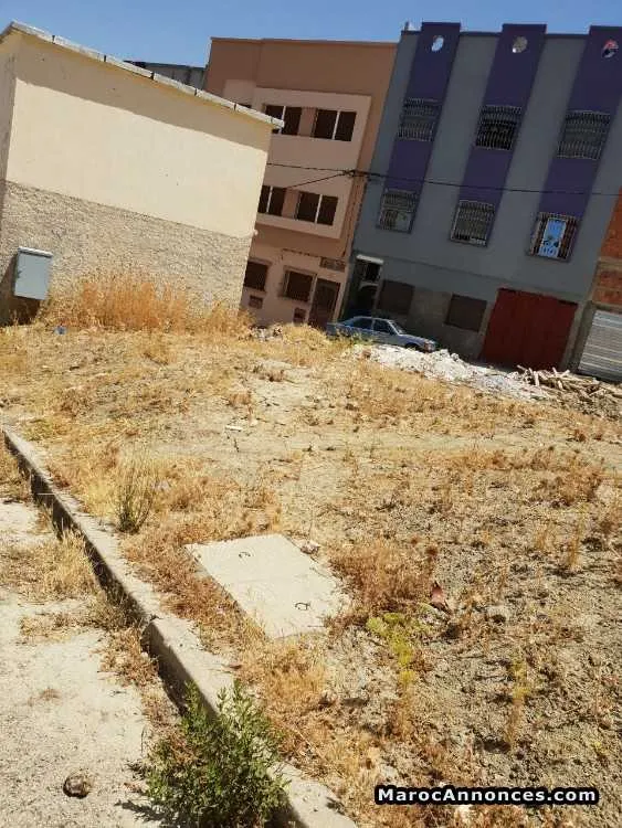 Lot de terrain taza - تازة