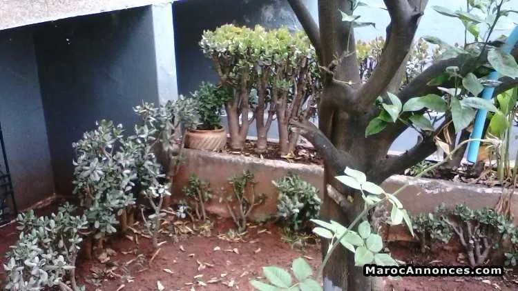 étage de villa à louer - الدار البيضاء (3)