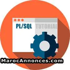 Formation et soutien en pl/sql à fès - فاس
