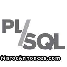 Formation et soutien en pl/sql à fès - فاس (2)