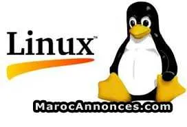 Formation et soutien en linux à fès - فاس