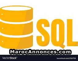 Formation et soutien en sql à fès - فاس