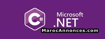 Formation et soutien en c#.net à fès - فاس (2)