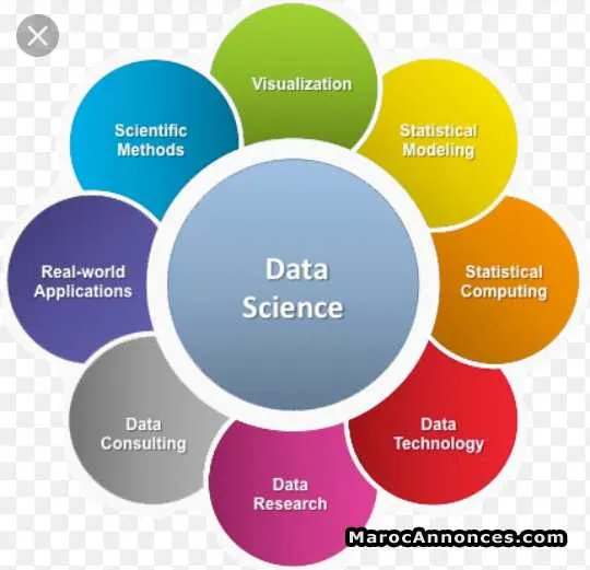 Expert statisticien - الرباط