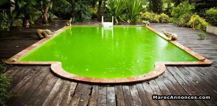 Entretien piscines - مراكش (2)