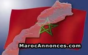 Demenagement toutes directions - الدار البيضاء (3)