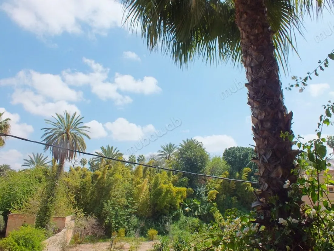 Sublime appartement - مراكش (2)