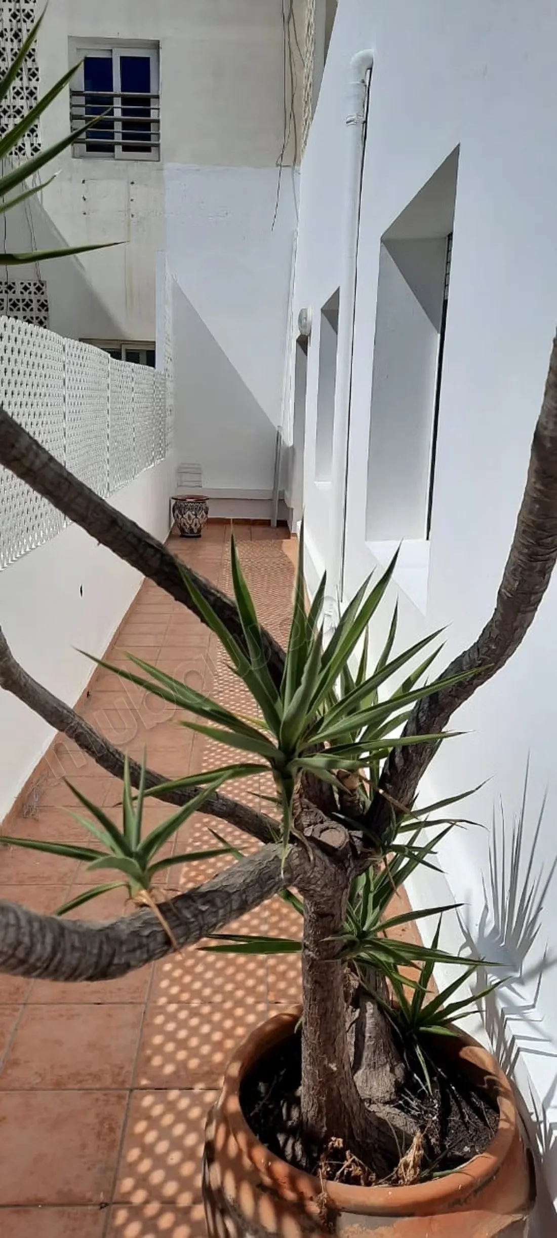 Appartement en location à Gauthier.
Surface de 130 m² - الدار البيضاء (3)