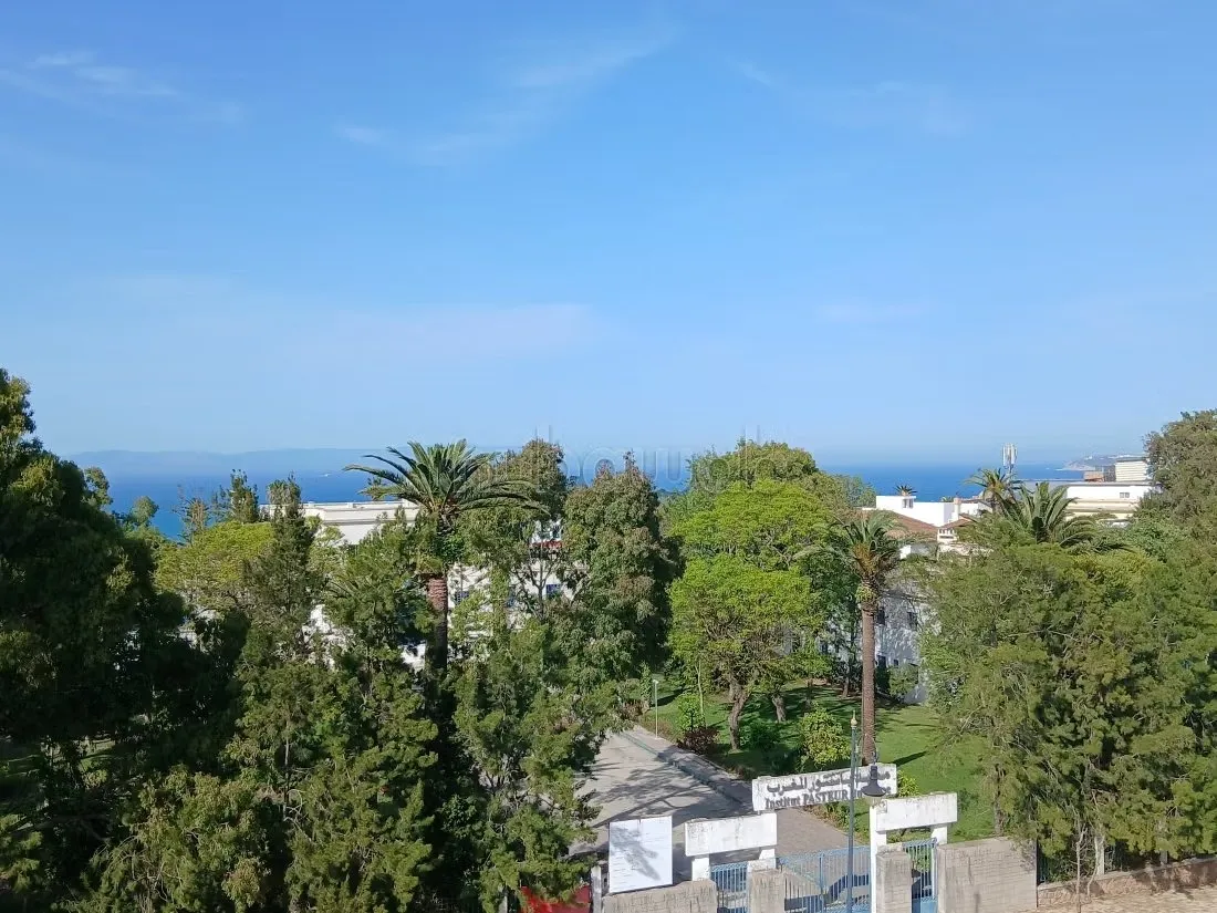 Magnifique villa anglaise a tanger - طنجة (3)