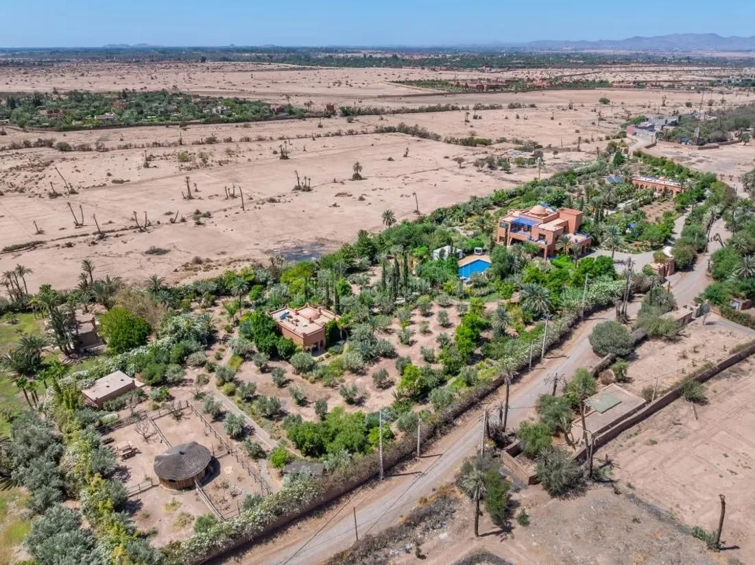 Marrakech I Bab Atlas - مراكش (3)