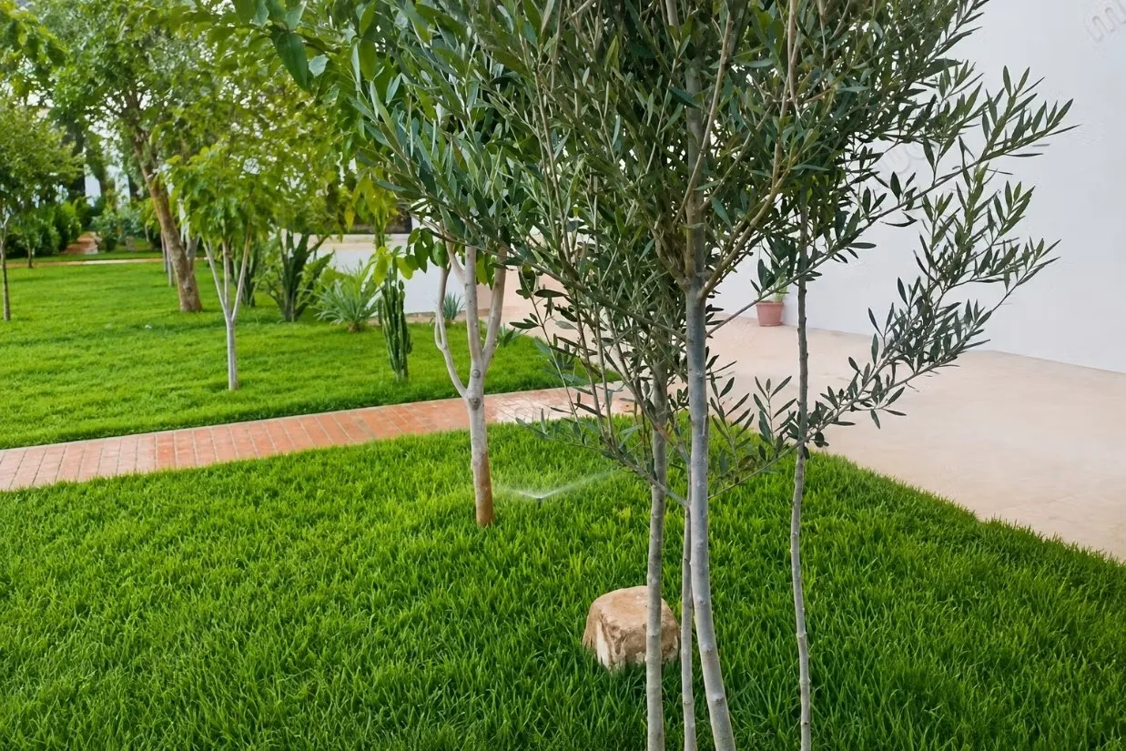 Villa Vue Panoramique - تارودانت (2)