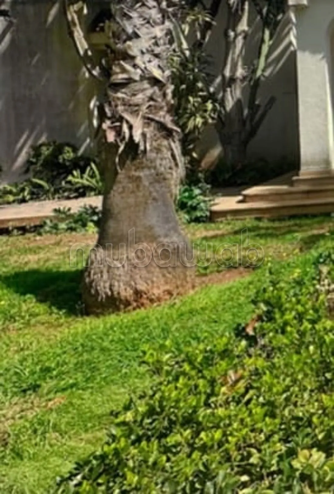 Superbe Villa à vendre à OLM souissi - الرباط