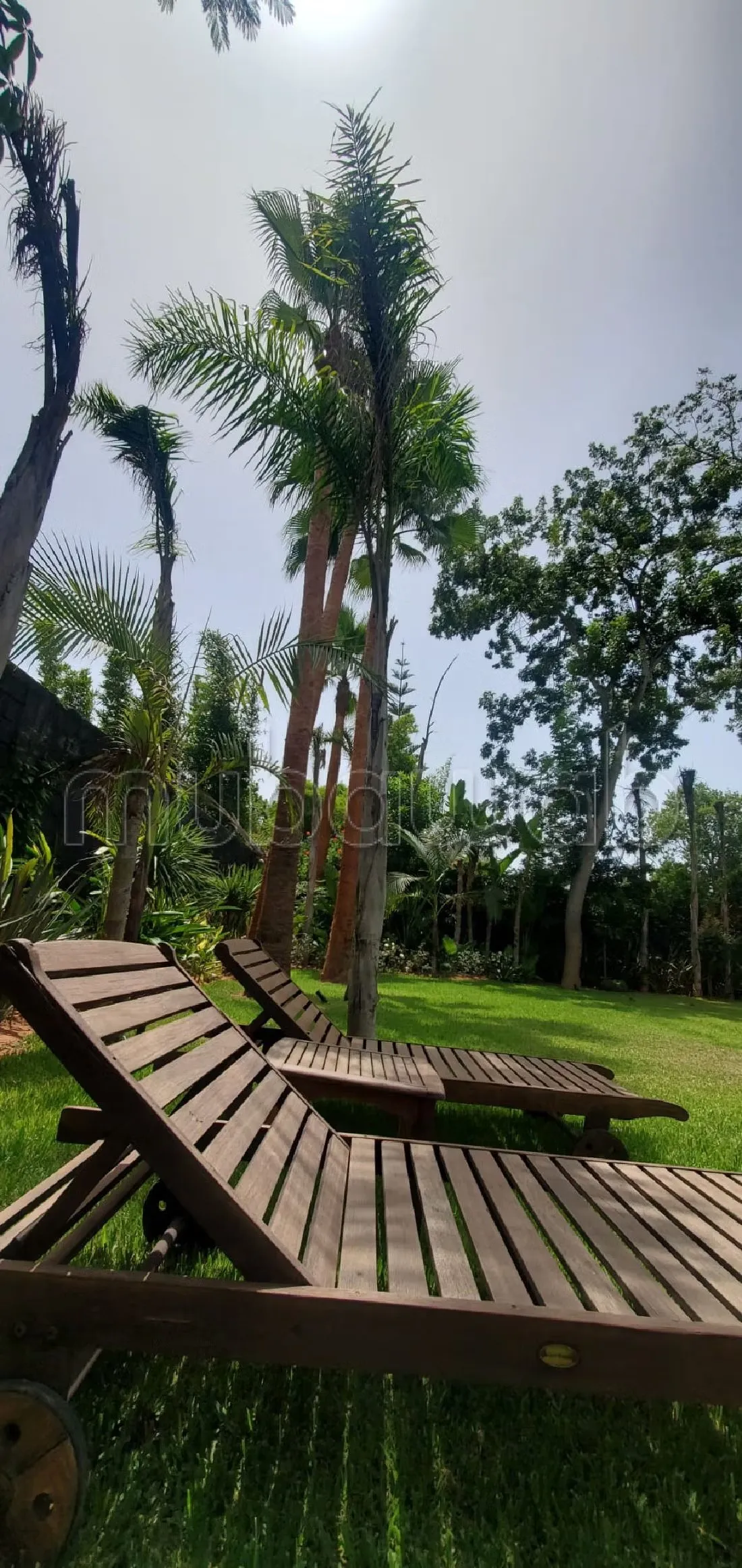 Villa neuve à souissi avec un grand jardin - الرباط (3)
