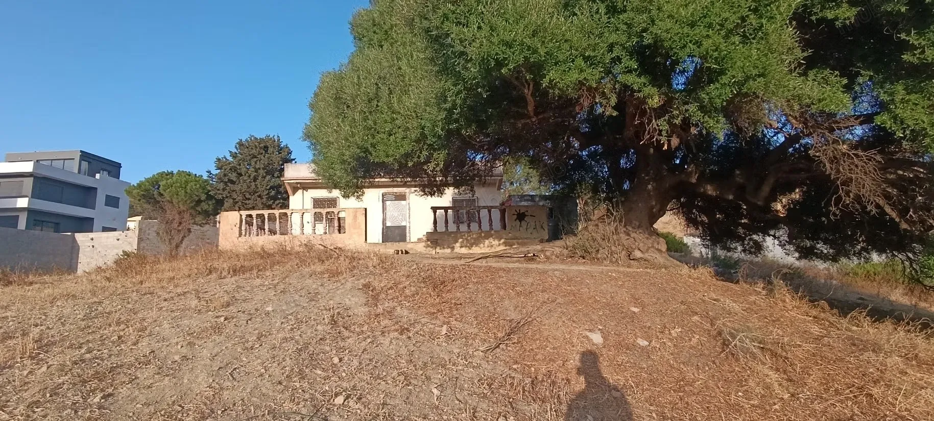 Très belle maison à vendre à Awadalian le Petit Palais. Surf... - Ksar Sghir