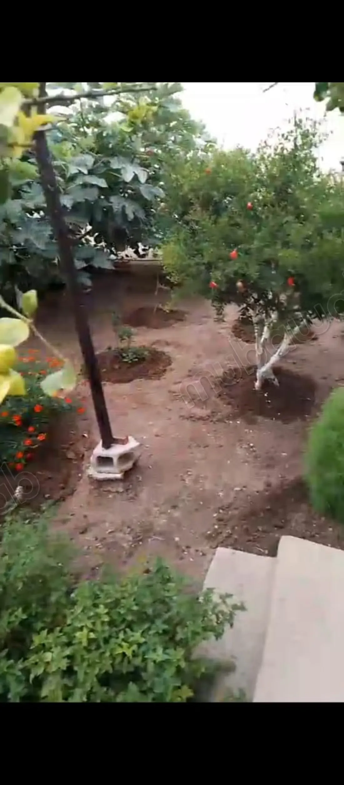 Maison a vendre a Lalla Fatna, 222m - أسفي (3)