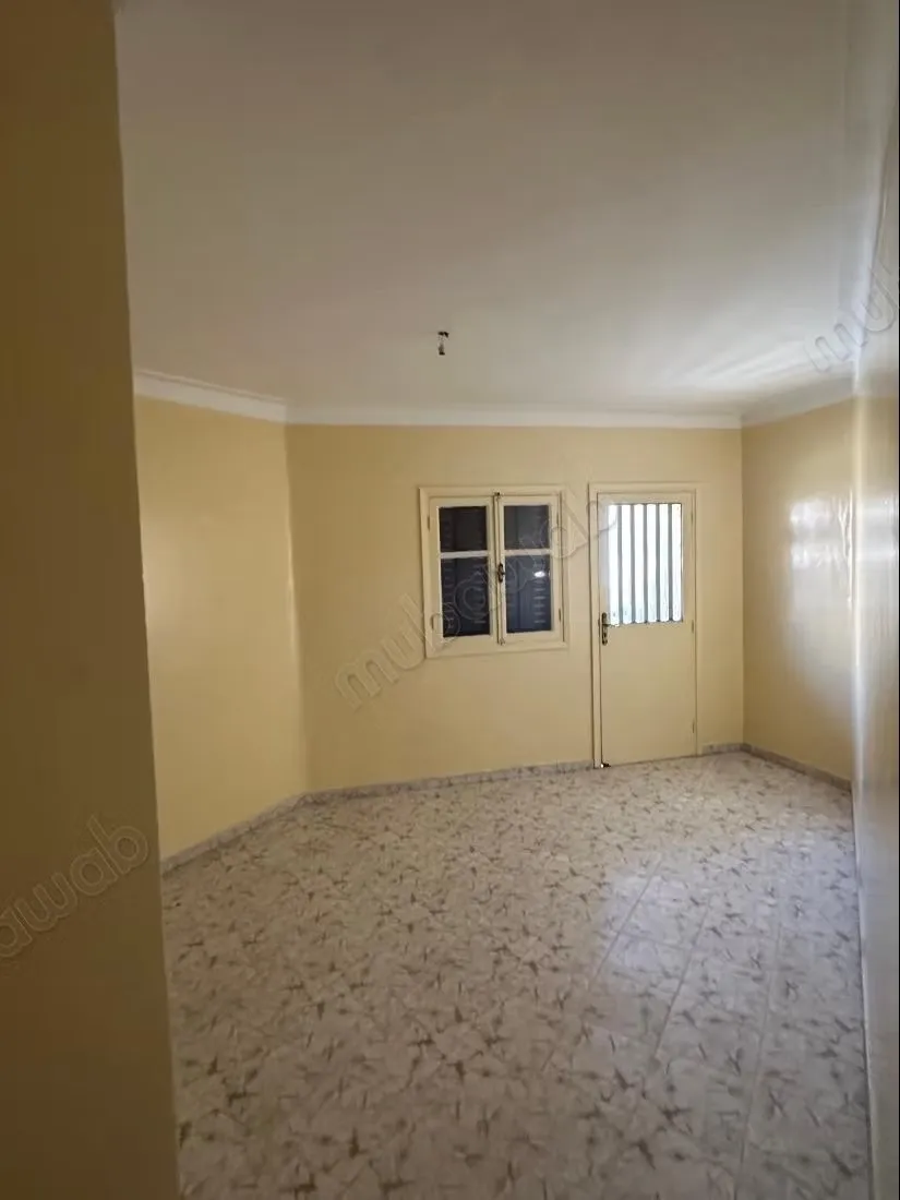 Immeuble commerciale - الجديدة (3)
