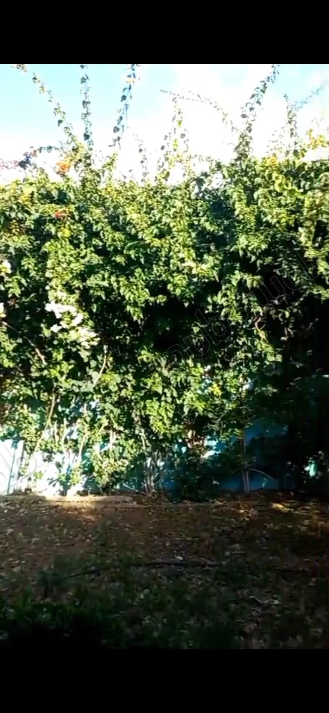Très belle maison en vente à Agadir Melloul. 8 grandes pièce... - Agadir Melloul (2)