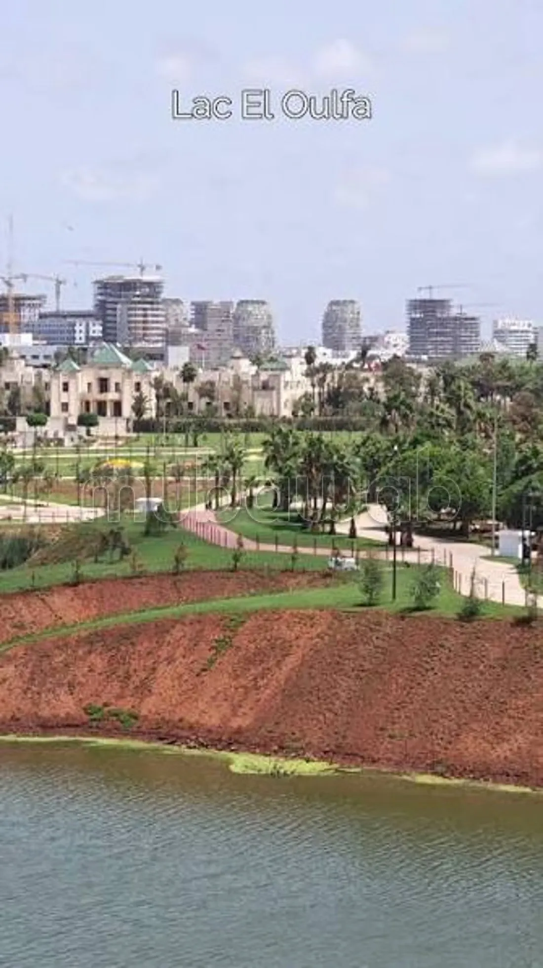 Maison Oulfa - الدار البيضاء