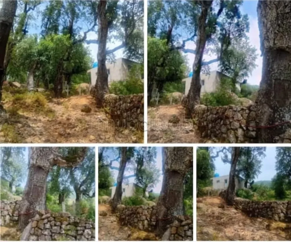 Amoureux de la nature, Terrain 800m2 et Maisin neuve à Moula... - Bni Arouss