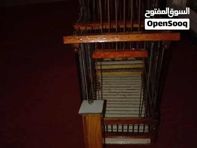 قفص ديال الخشب 50DH - طنجة