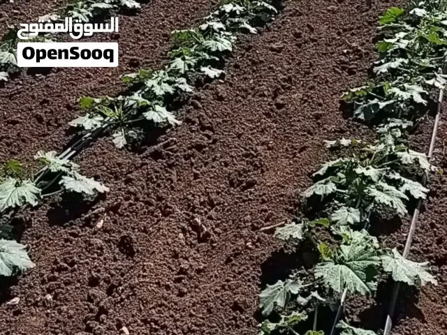 أرض فلاحية واستثمارية بنواحي إقليم عين الله موقع ممتاز قريبة طريق رئيسية مساحة 2هكتار - فاس