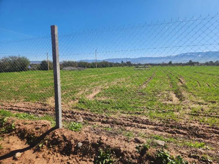 Terrain constructible de 5 000 m² à vendre - مراكش (2)