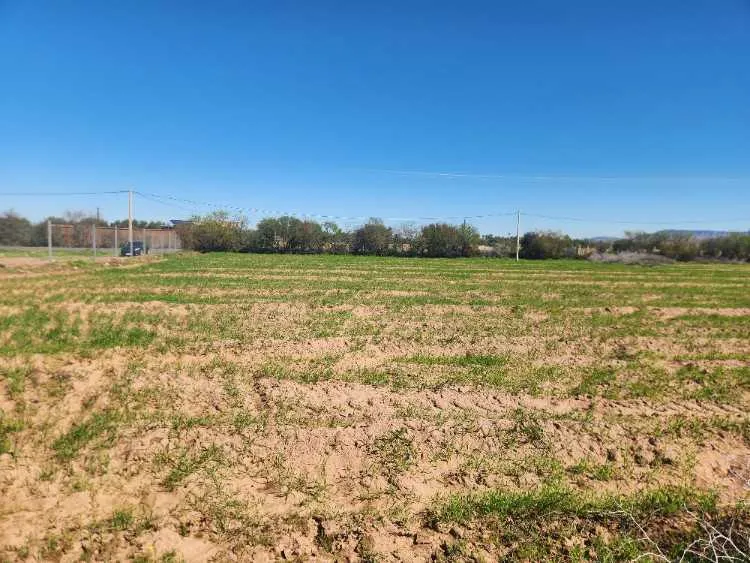 Terrain constructible de 5 000 m² à vendre - مراكش (3)