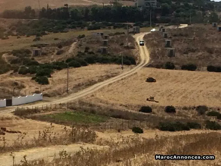 Terrain a dmina - أكادير (3)