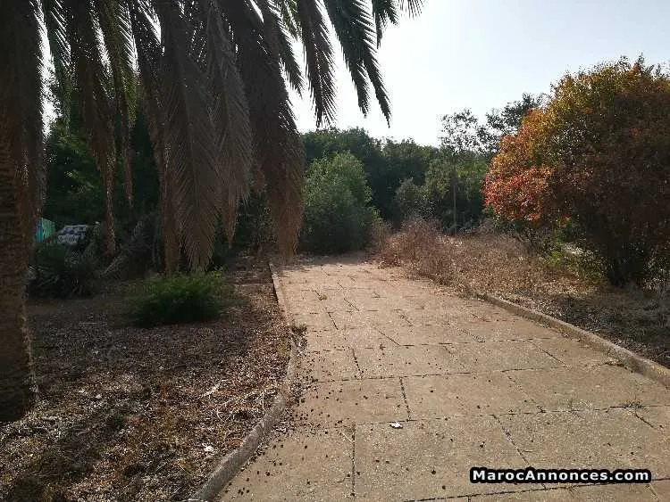Terrain avec maison à rafraichir à vendre - الرباط (2)