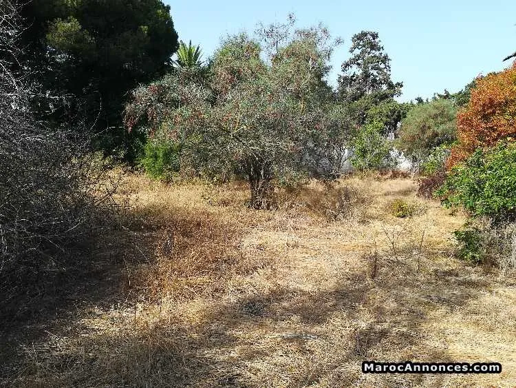 Terrain avec maison à rafraichir à vendre - الرباط (3)