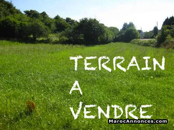 Terrain à vendre sidi ghanem - مراكش