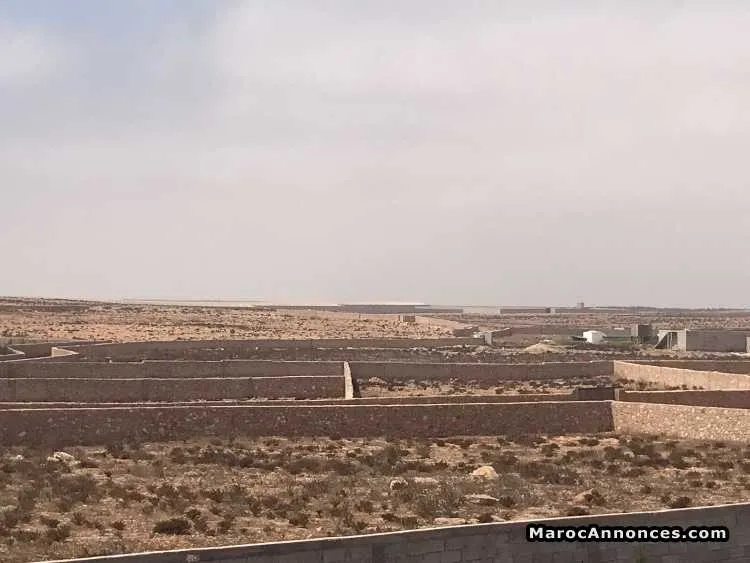 Terrain agadir 1800m2 50000€ - أكادير (3)