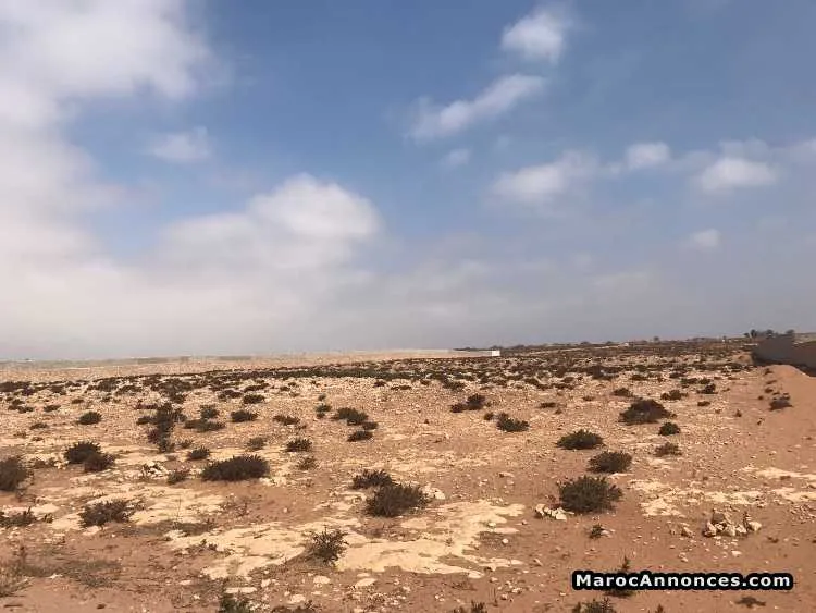 Terrain agadir 1800m2 50000€ - أكادير (2)
