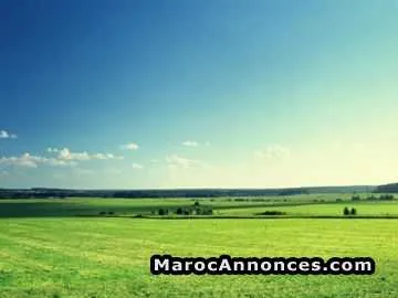 Terrain vendre près d'salle couverte à saknia 150m - القنيطرة (2)
