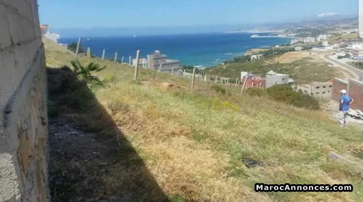 Terrain titré près de diki à 10 km de ksar sghir - طنجة (3)