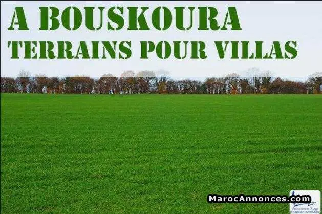 Terrain pour villa à bouskoura 215m² - بوسكورة (2)