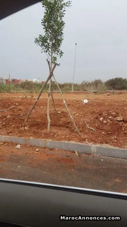 Lot terrain de villa à ain atig - تمارة