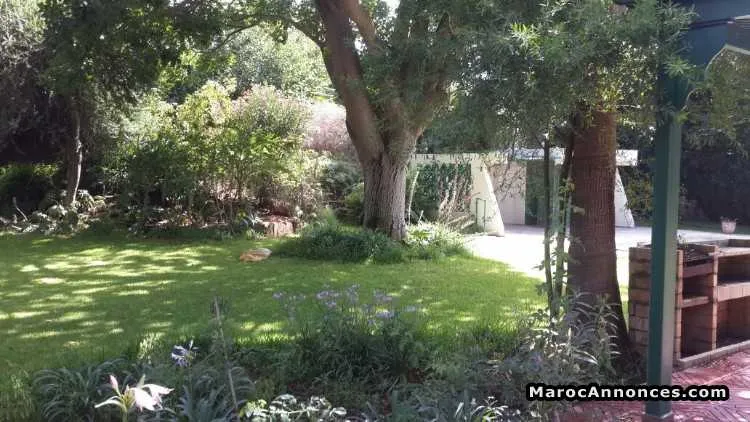 villa en location - الرباط (3)