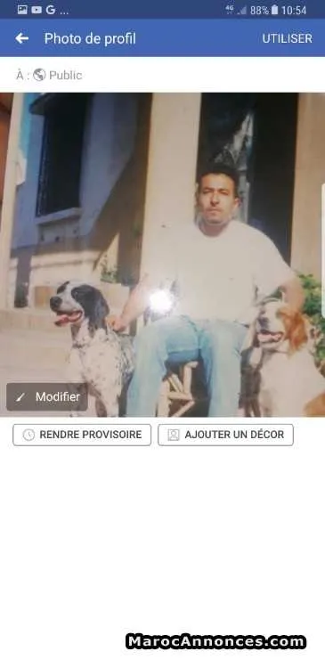 Dressage de chiens - الدار البيضاء