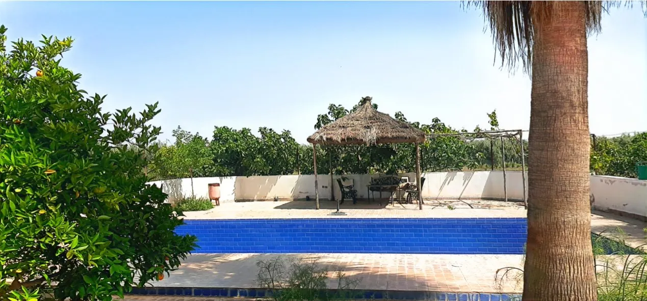Ferme à vendre située à Douar Ouled Boumniee Commune Sidi Moussa - قلعة السراغنة (2)