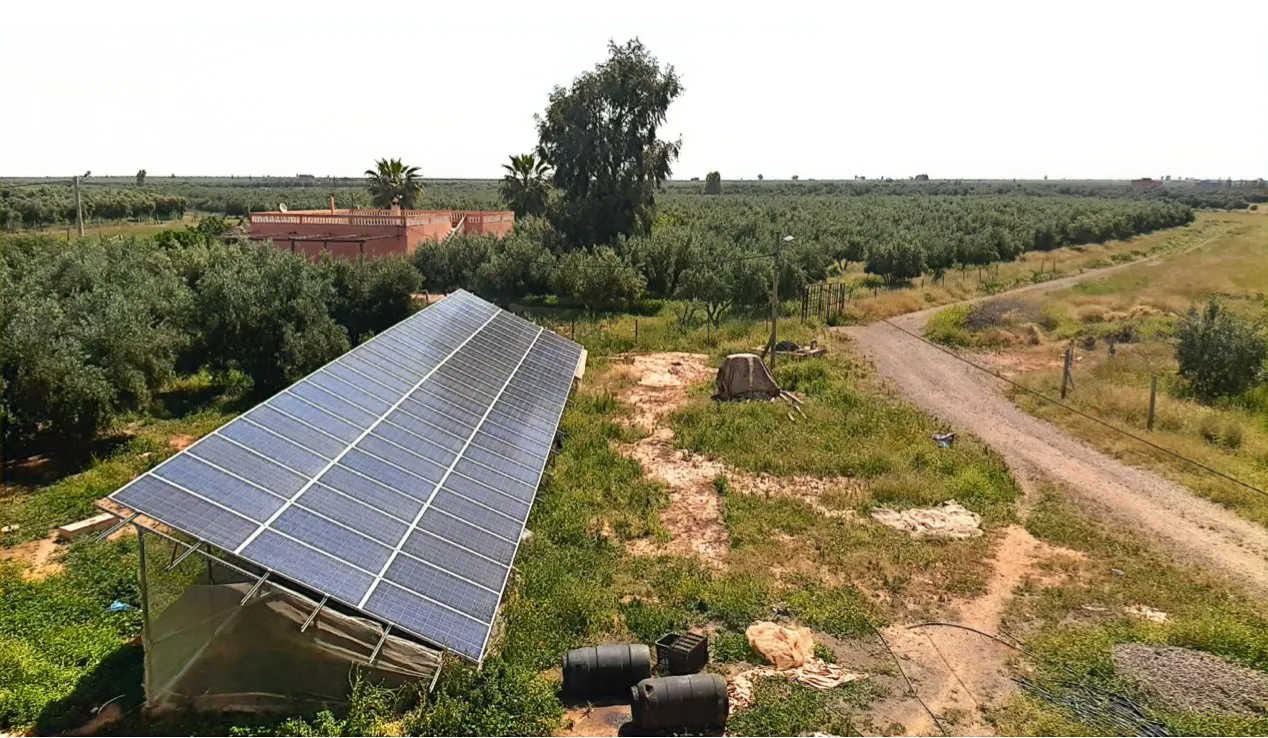 Ferme à vendre située à Douar Ouled Boumniee Commune Sidi Moussa - قلعة السراغنة (3)