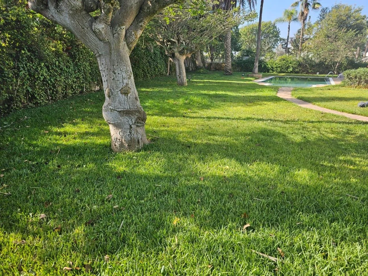 Villa avec piscine jardin arborÃ© nichÃ©e Ã  PRANFA Ã  vendre - الدار البيضاء (4)