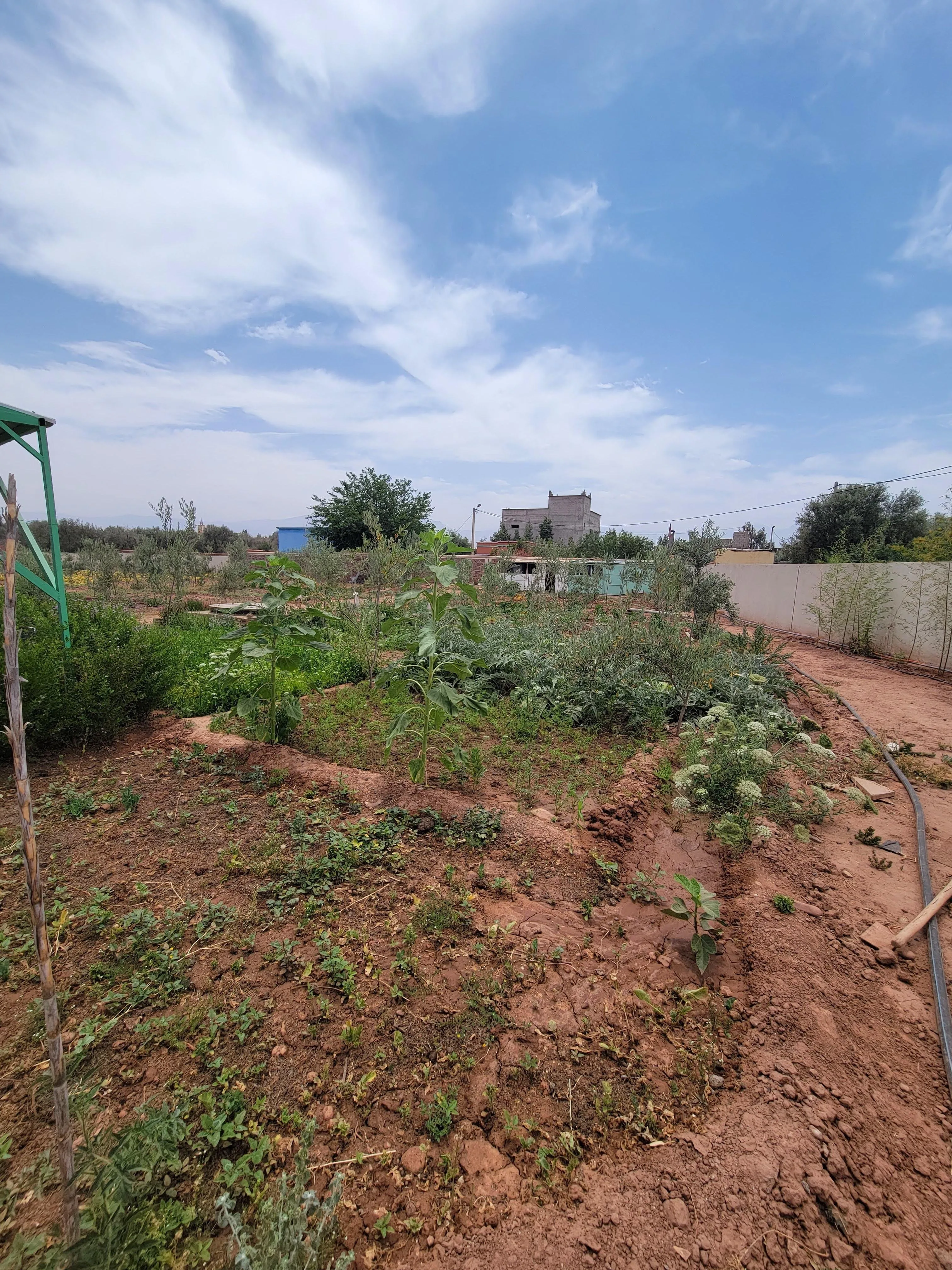 Villa titrée de 3300 m² à sidi Abdellah Ghiat - مراكش (4)