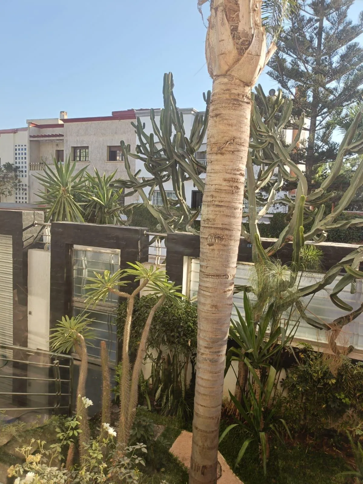Villa Moderne avec Piscine à Mohammedia – Emplacement idéal proche de toutes les commodités - المحمدية (3)
