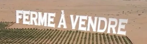 vente ferme de 65000 m à skhirate - الصخيرات