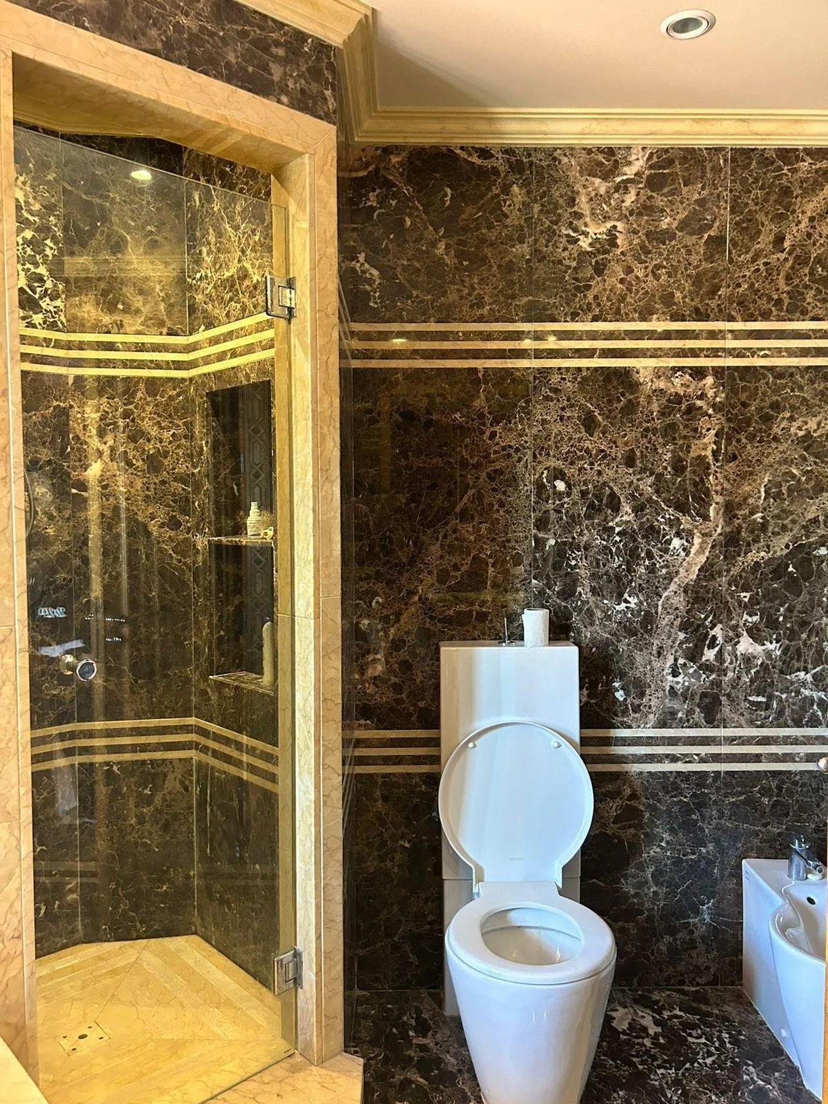 Villa comme un palais aux ambassadeurs souissi - الرباط (2)